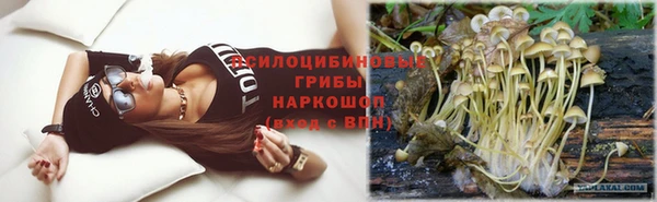 хмурый Горно-Алтайск