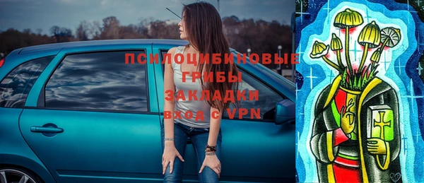 хмурый Горно-Алтайск