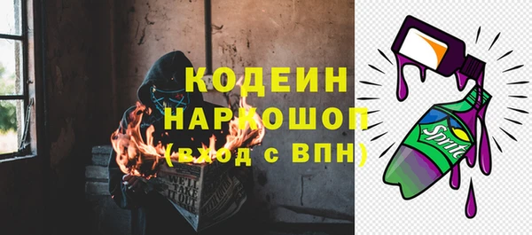 хмурый Горно-Алтайск